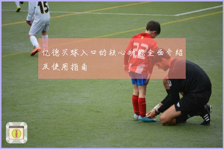 亿德买球入口的核心功能全面介绍及使用指南