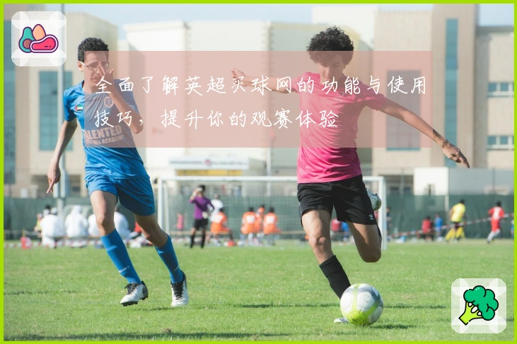 全面了解英超买球网的功能与使用技巧，提升你的观赛体验