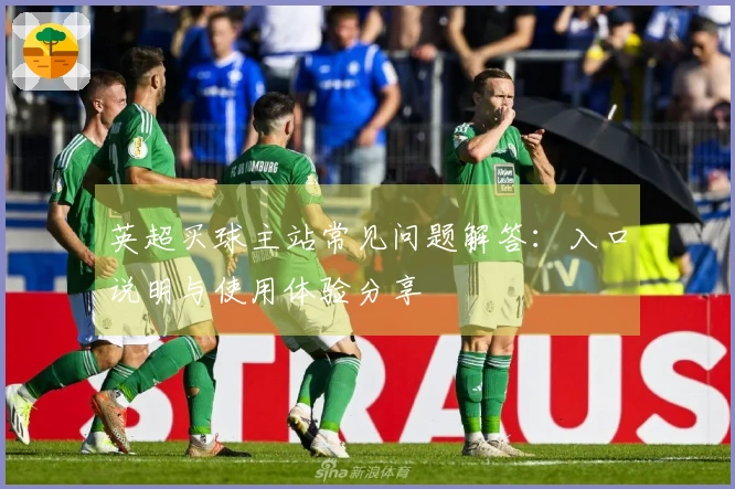 英超买球主站常见问题解答：入口说明与使用体验分享