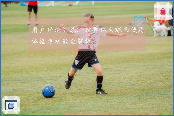 用户评论汇总：世界杯买球网使用体验与功能全解析
