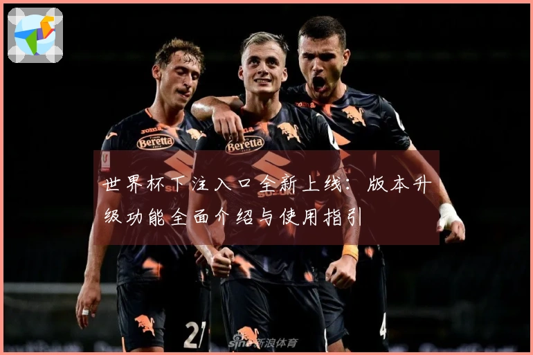 世界杯下注入口全新上线：版本升级功能全面介绍与使用指引
