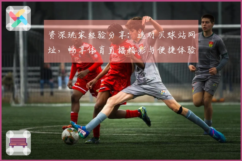资深玩家经验分享：选对买球站网址，畅享体育直播精彩与便捷体验