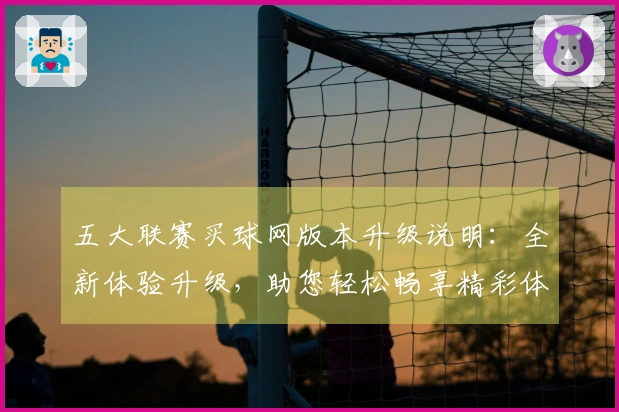 五大联赛买球网版本升级说明：全新体验升级，助您轻松畅享精彩体育赛事