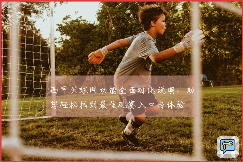 西甲买球网功能全面对比说明，助您轻松找到最佳观赛入口与体验