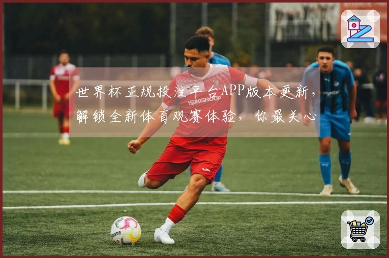 世界杯正规投注平台APP版本更新，解锁全新体育观赛体验，你最关心的功能都在这里