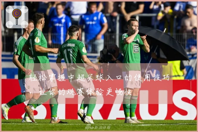 轻松掌握中超买球入口的使用技巧，让你的观赛体验更畅快