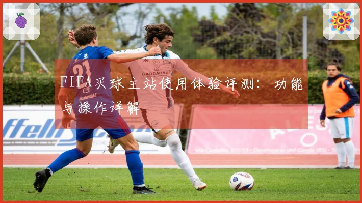 FIFA买球主站使用体验评测：功能与操作详解