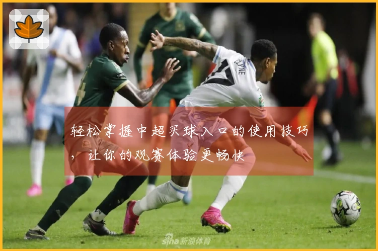 轻松掌握中超买球入口的使用技巧，让你的观赛体验更畅快