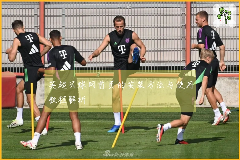 英超买球网首页的安装方法与使用教程解析