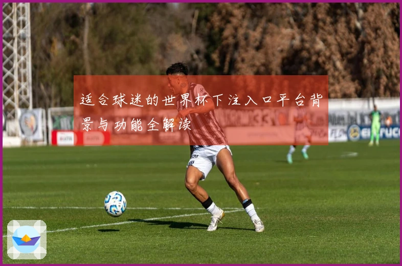 适合球迷的世界杯下注入口平台背景与功能全解读